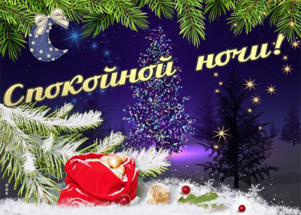 Спокойной зимней ночи