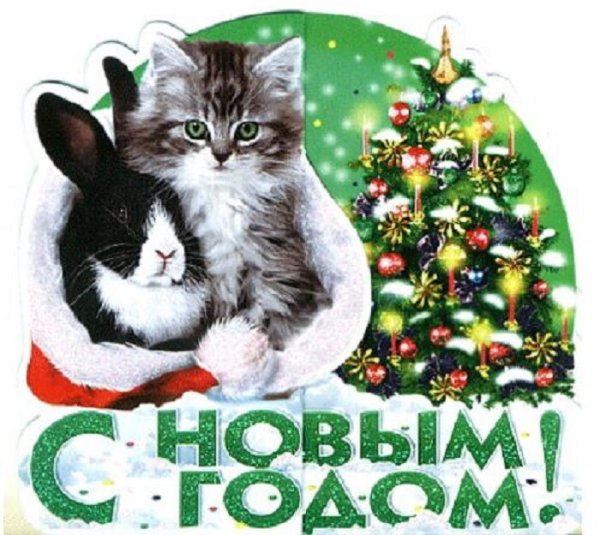 С новым годом зайца