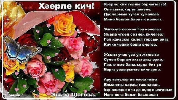 Тик ток Хаерле Кич