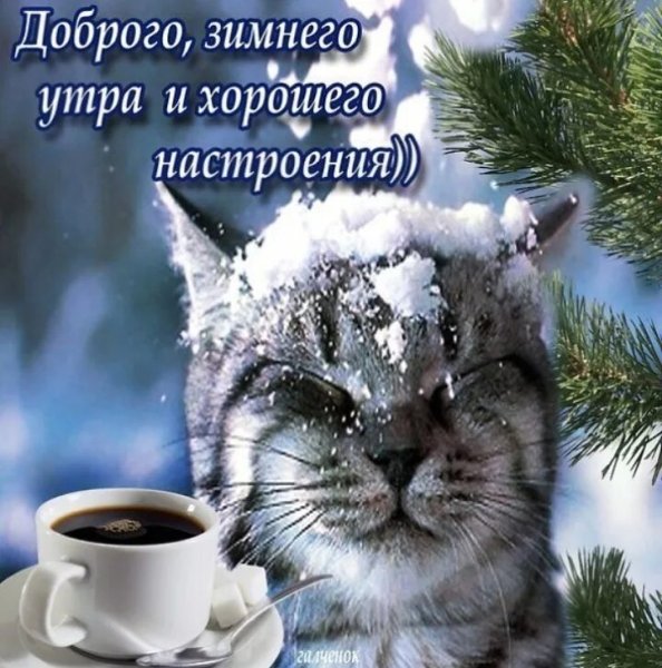 Доброе зимнее утро вторника прикольное