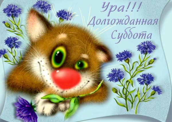 С субботой прикольные пожелания в картинках