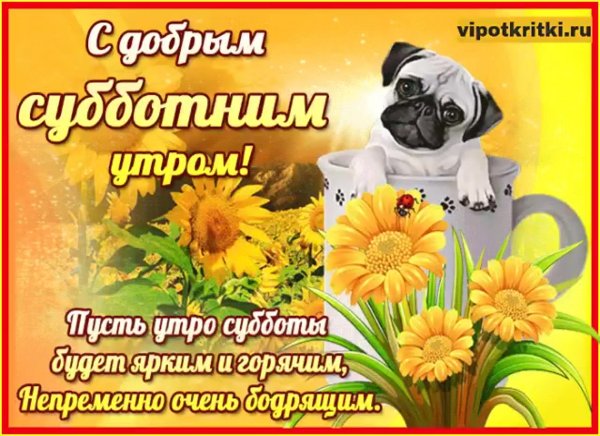 Поздравления с субботой прикольные