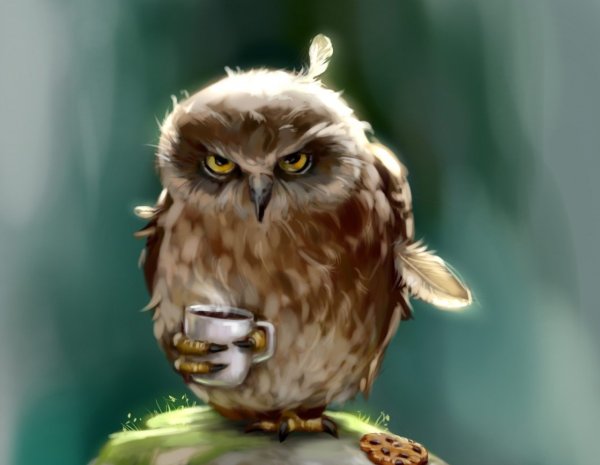 Сова ты высыпаешься