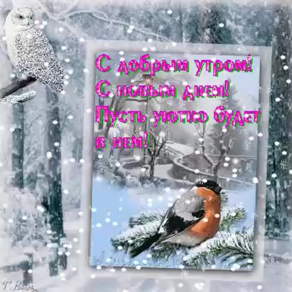 Доброе зимнее утро с пожеланиями здоровья