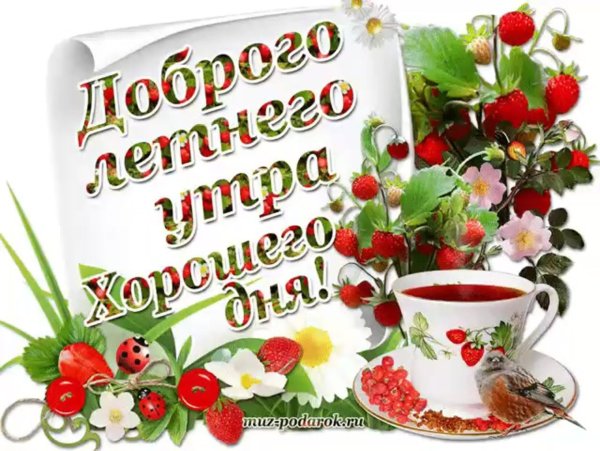 Пожелания доброго зимнего утра и хорошего дня