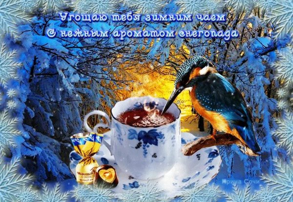 С добрым зимним утром понедельника