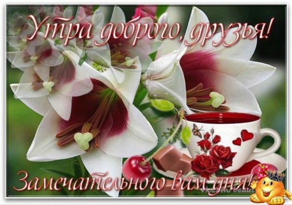 Открытки с добрым утром друзья