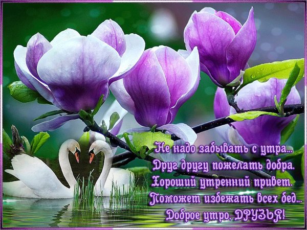 Добрые пожелания