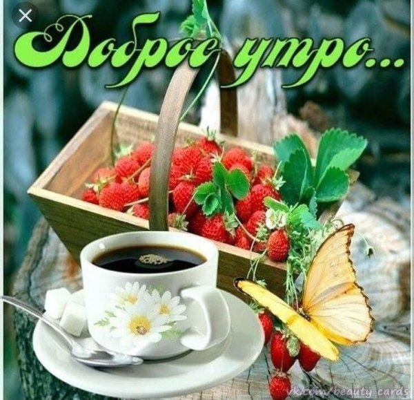 Красивые открыточки с добрым утром