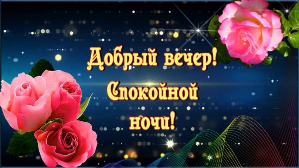 Доброго вечера и спокойной ночи