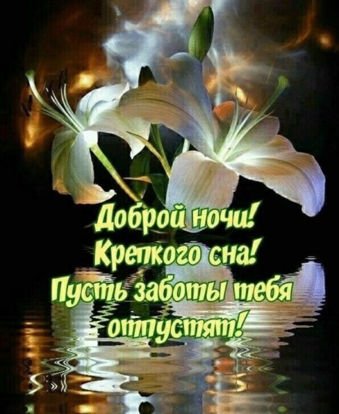 Уютного вечера и сладких сновидений