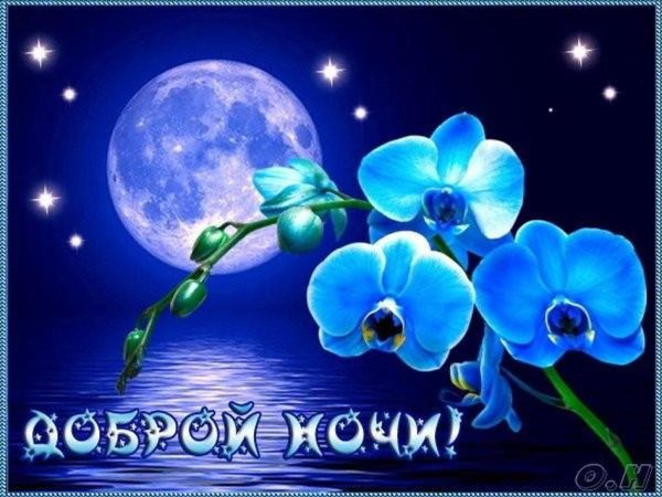 Добрый вечер и смокойнойночи