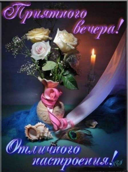 Приятного вечера и доброй ночи