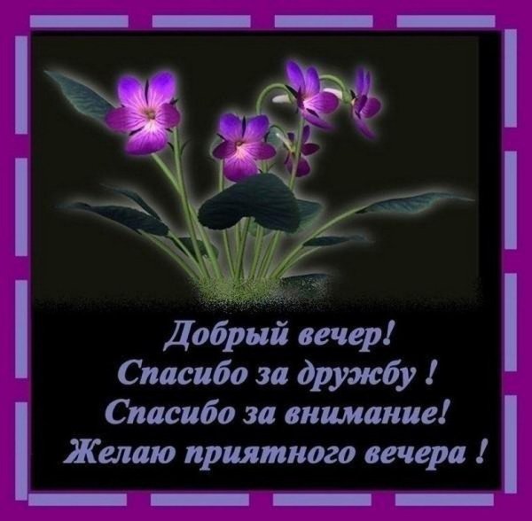 Доброго вечера и спокойной ночи