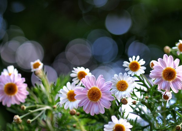 Доброе субботнее утро хороших выходных