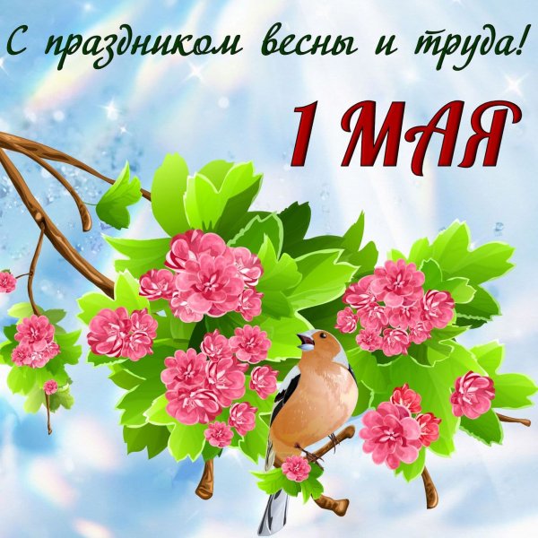 Открытки с 1 мая