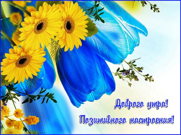 Креативные открытки с добрым утром