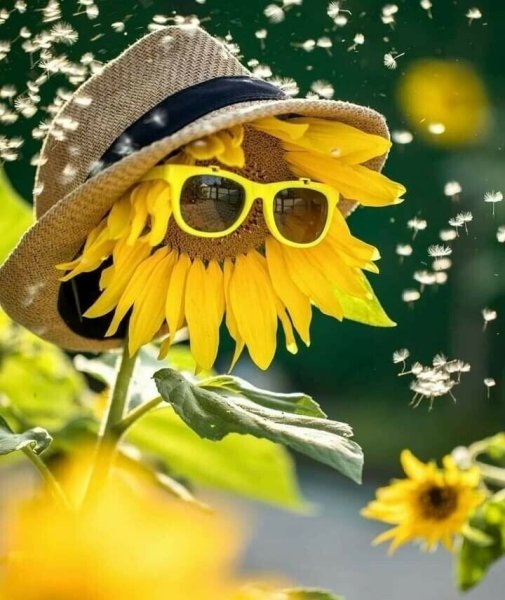 Доброе утро и отличного настроения