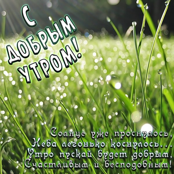 Необычные пожелания с добрым утром