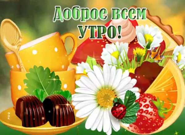 Необычные открытки с добрым утром