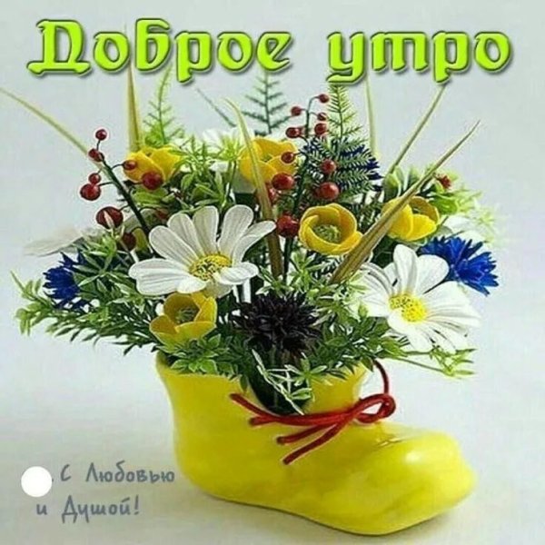 Открытки с добрым утром четверга