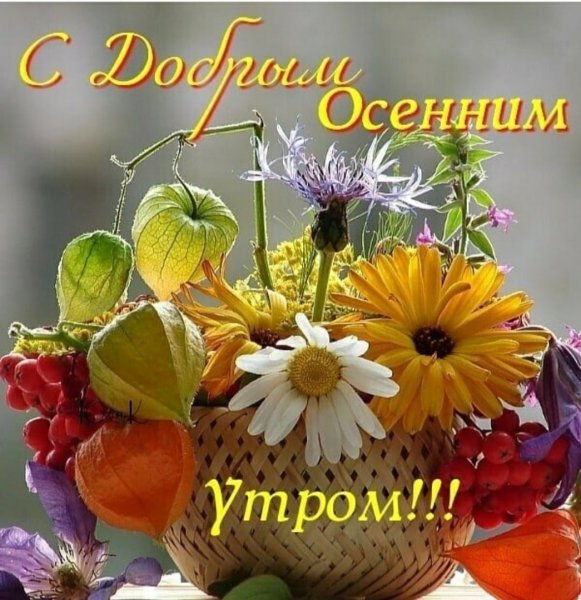 В отсутствии солнца сияйте самостоятельно