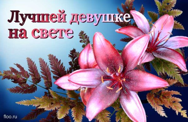 Лучшей девушке на свете