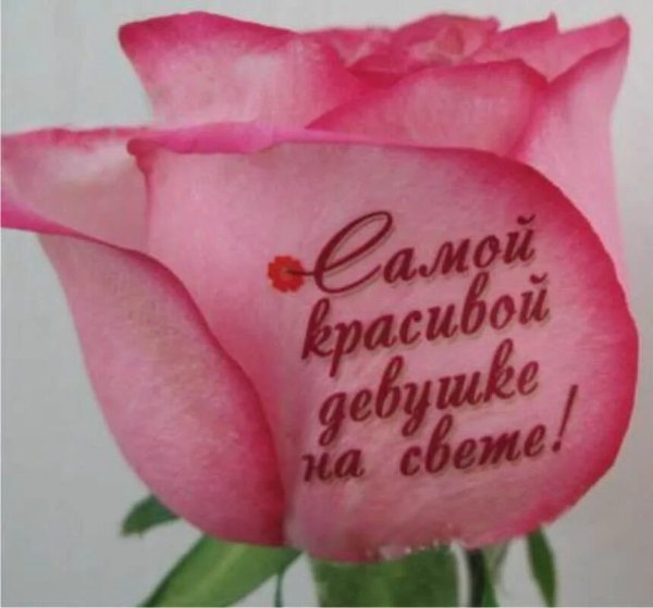 Открытки женщине красивые бесплатно