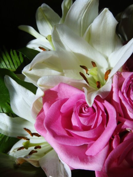 Поздравление самой красивой девушке