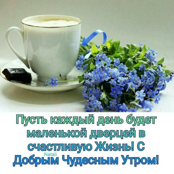 Добрые пожелания и высказывания