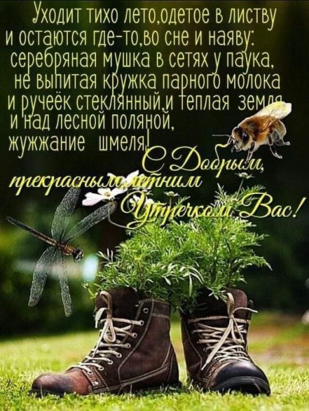 Доброе утро позитивные пожелания