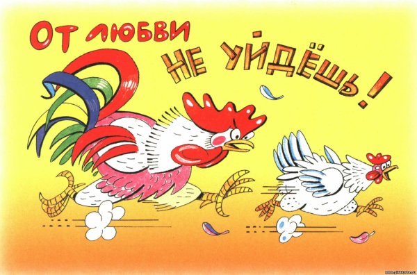 Смешные поздравления с днем рождения