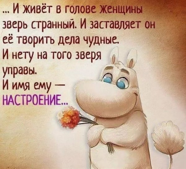 Добрые шутки