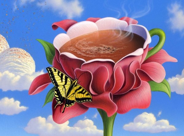 С приездом домой