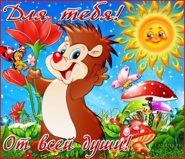 Открытки с приездом