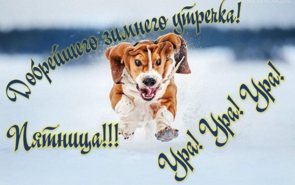 Доброе зимнее утро пятницы