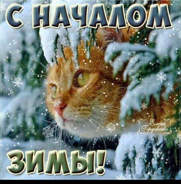 Первый день зимы