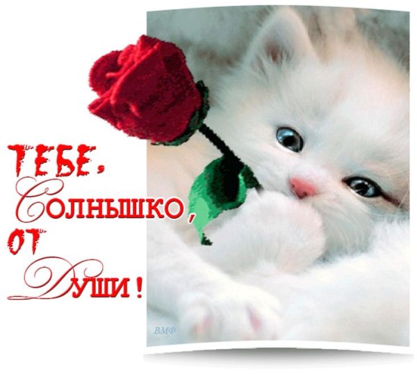 Открытки любимой женщине