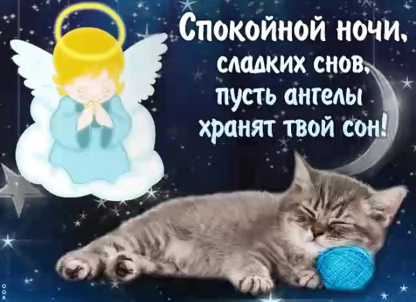 Пожелания доброй ночи