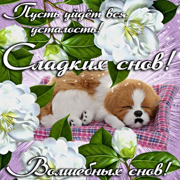 Пожелания спокойной но