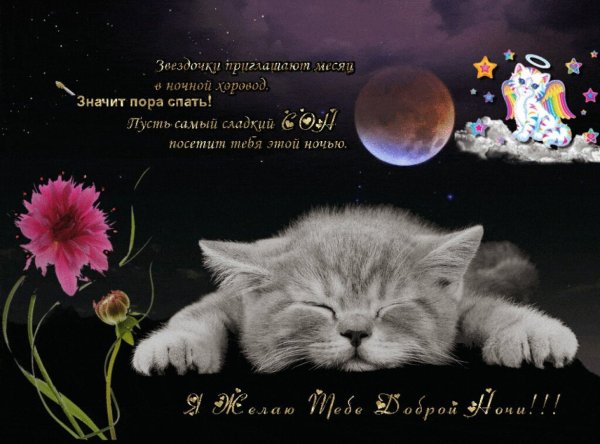 Хороших снов