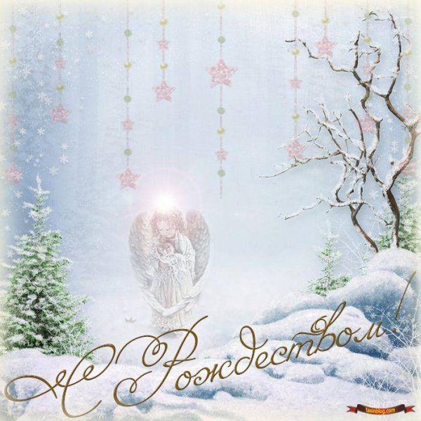 С Рождеством поздравления стильные