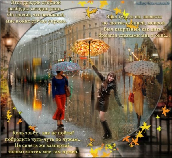 Хорошего настроения в дождливую погоду