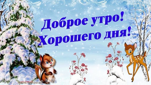 Доброе зимнее утро