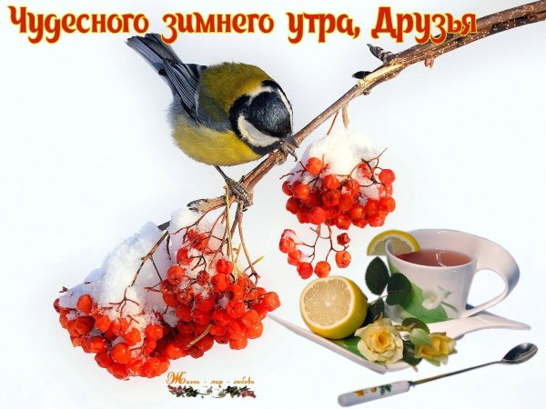 С добрым зимним утром