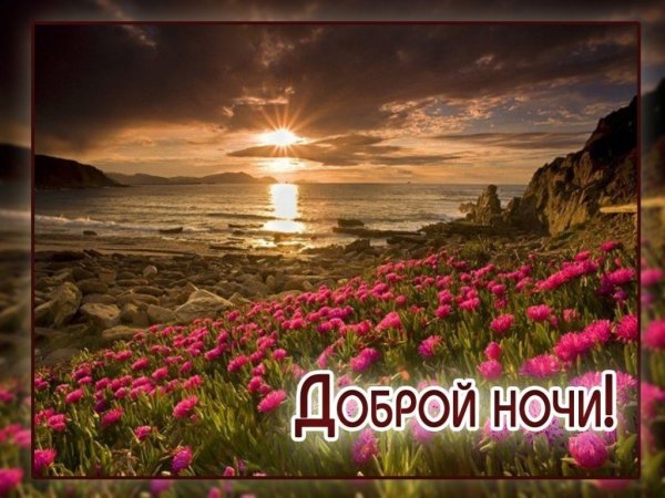 Цветочное поле