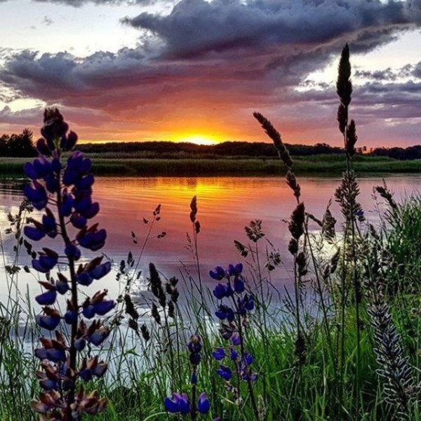 Спокойной летней ночи