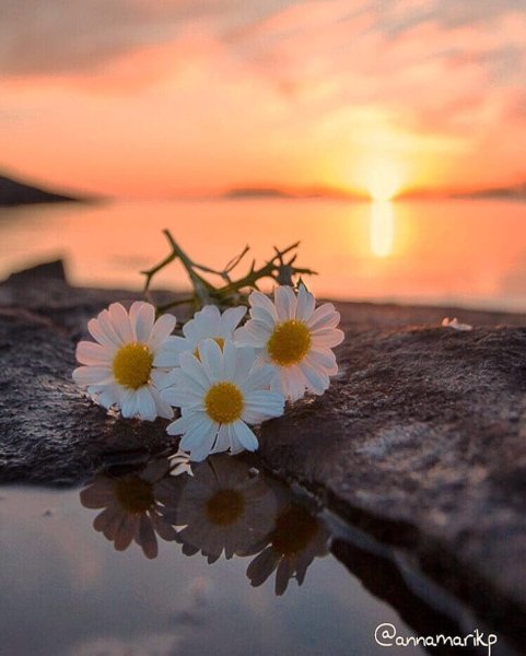 Открытки добрый вечер с природой