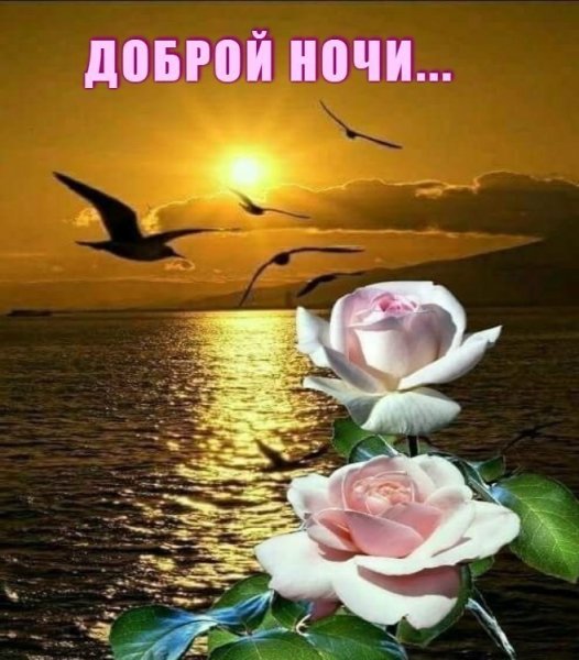 Спокойной зимней ночи