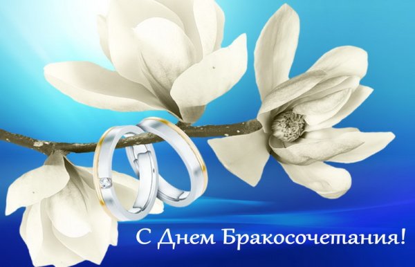 6 Месяцев свадьбы поздравления